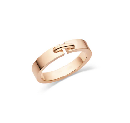 [⭐Hinora Jewelry]ALLIANCE LIENS VIDENCE 4MM RING
